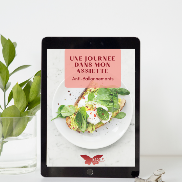 Une journée dans mon assiette