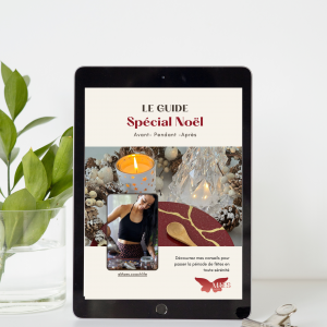 Ebook gratuit guide spécial Noël